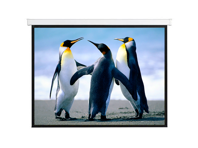 Electric Projector Screens